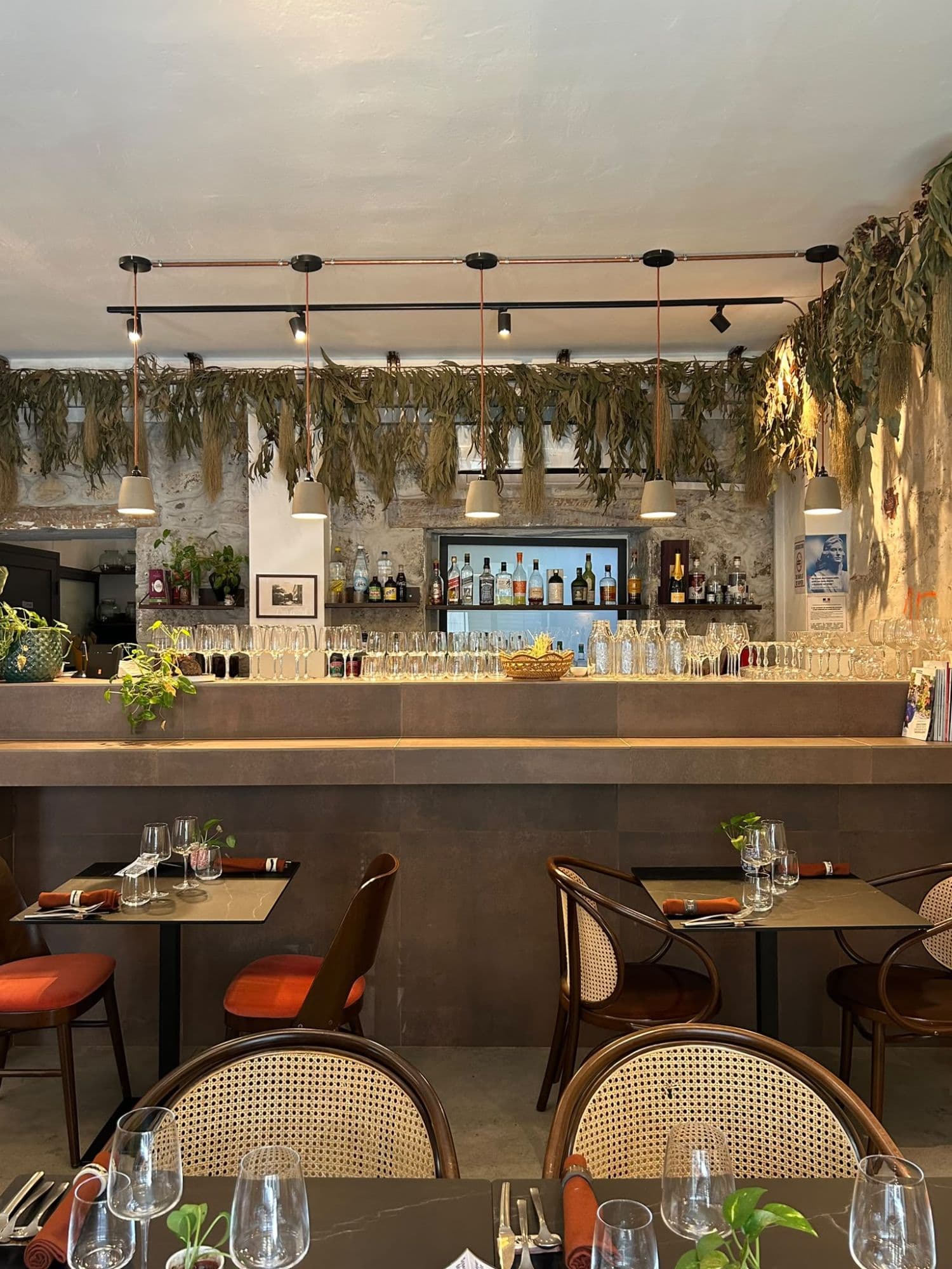 Le bar du Vieux Comptoir : feuillages suspendus, pierres apparentes et lumière cuivrée